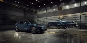 Porsche India Sales 2025